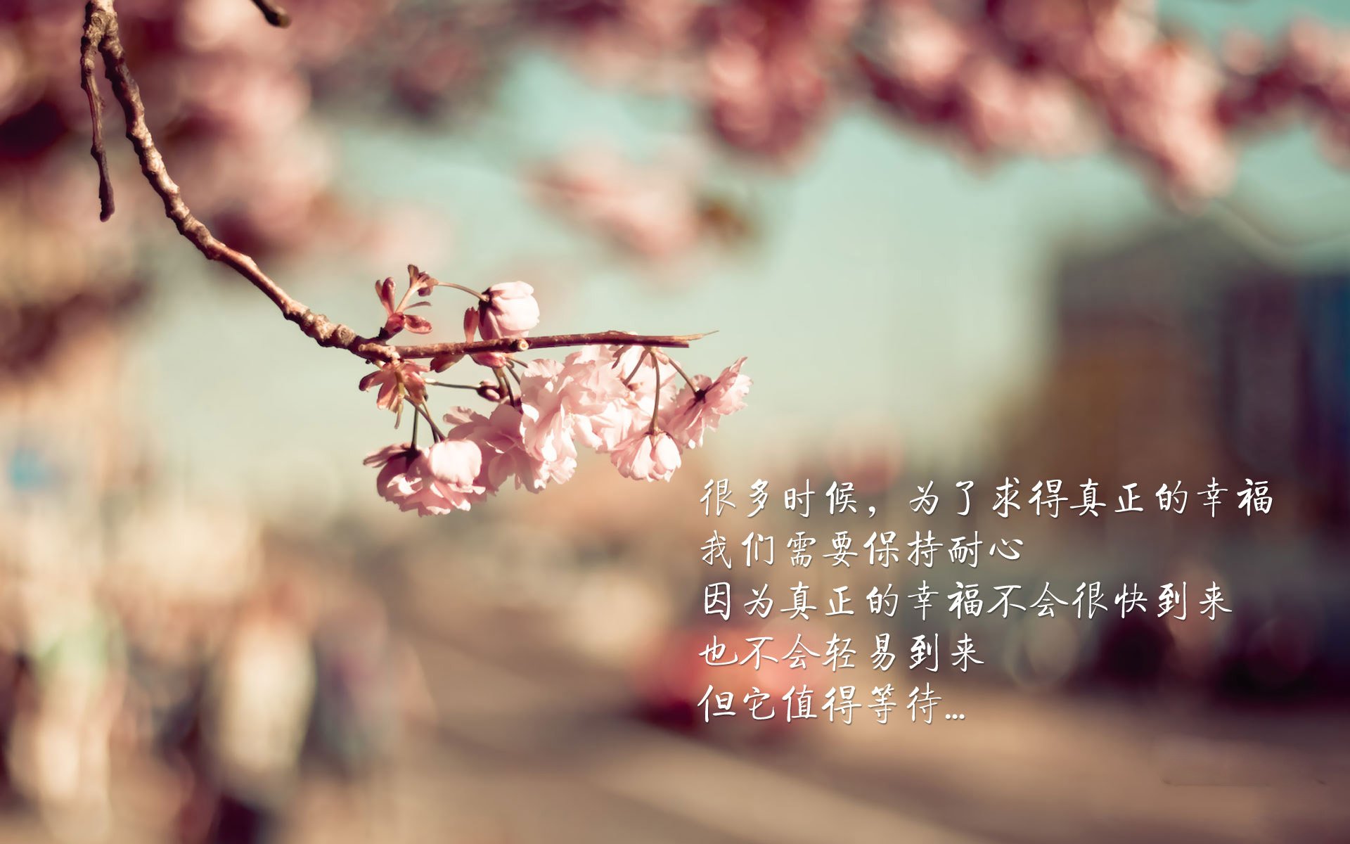 五大联赛快节奏压迫型比赛是否更受年轻球员欢迎，节奏最快的联赛