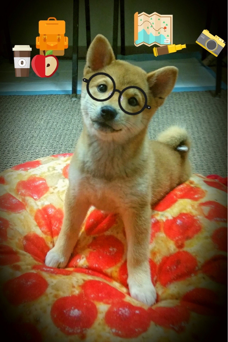 体育新闻中心推广体育赛事短视频版权保护技术，如何创意体育类短视频