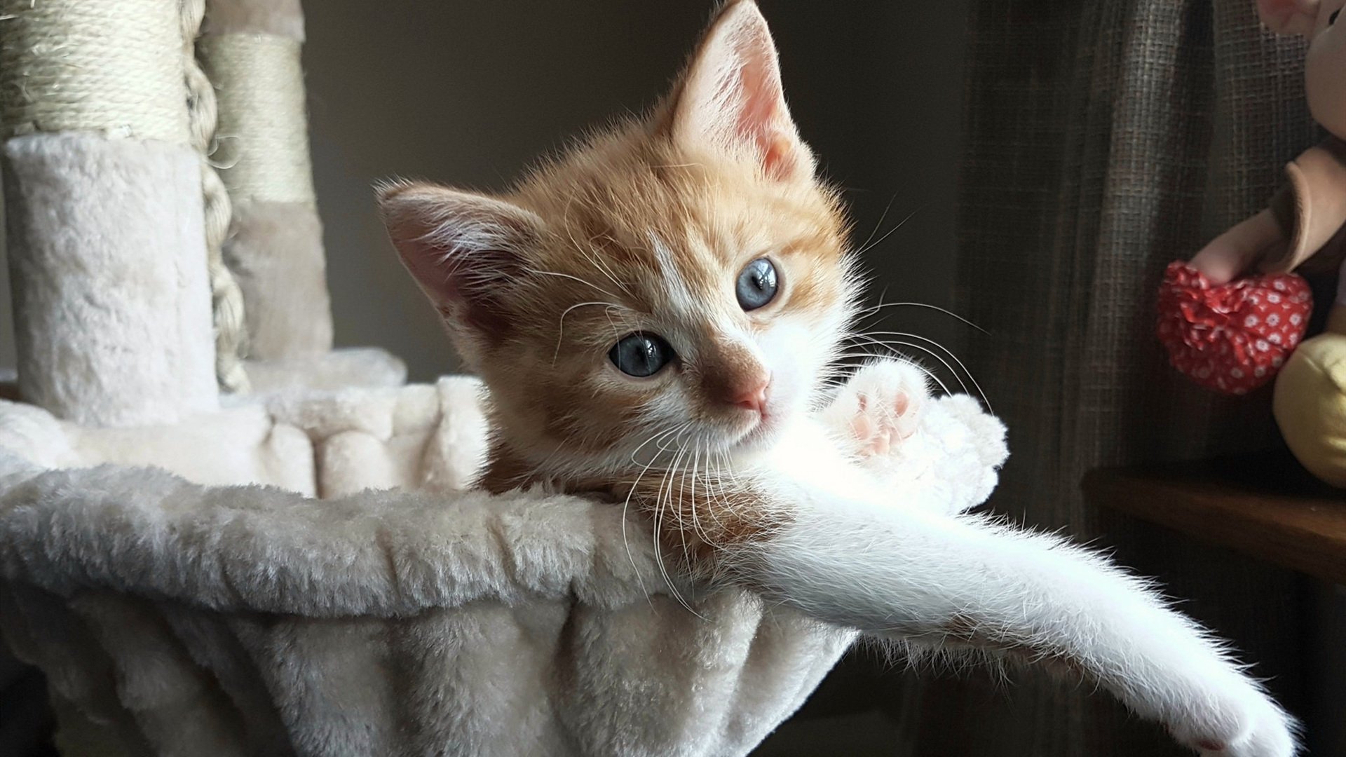 开云体育官网登入-得分手如何通过空切获得更高效率，分手后如何度过空窗期