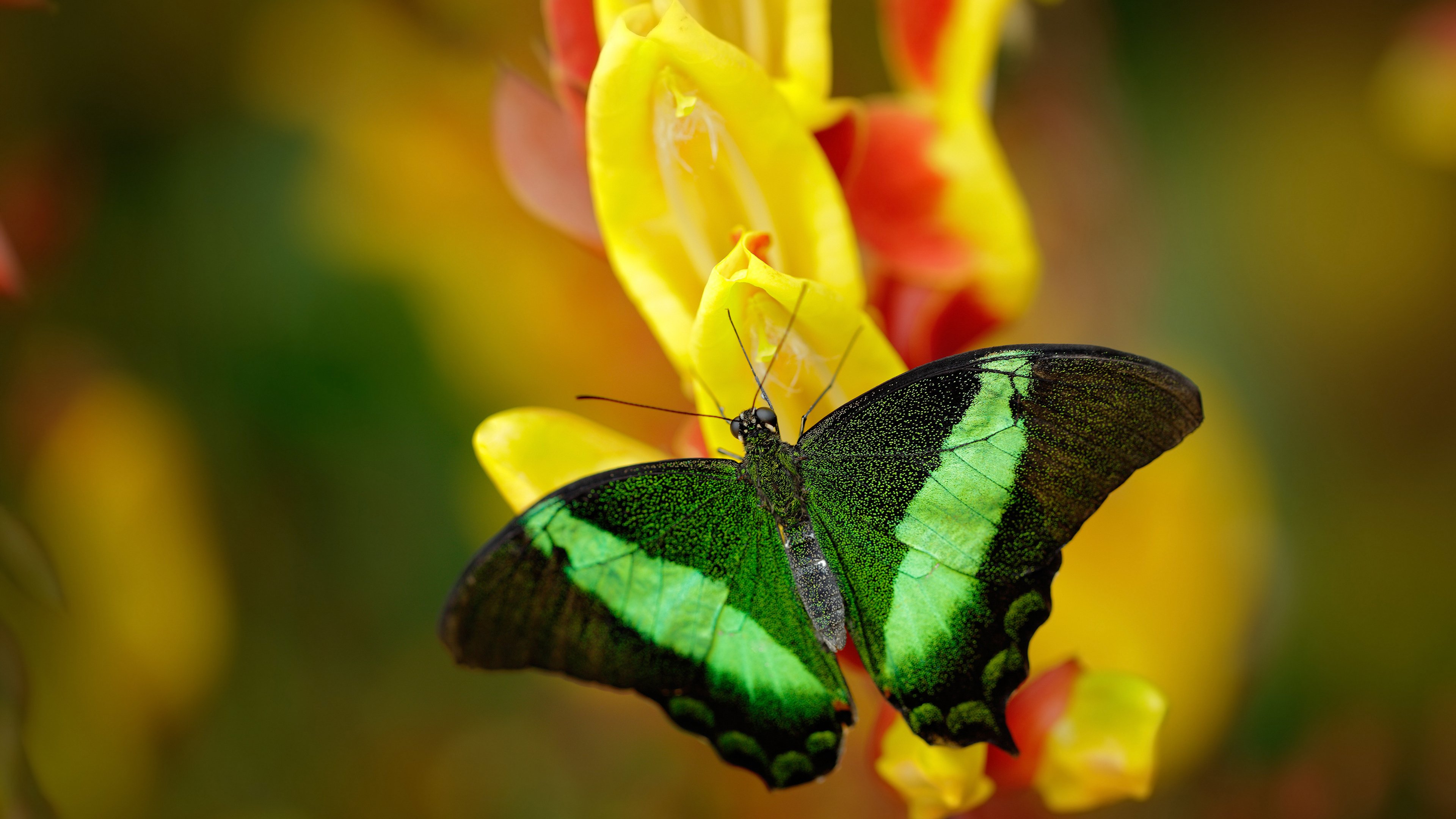 电竞入亚背后 体育的边界在拓展，电竞进入亚运会百家号