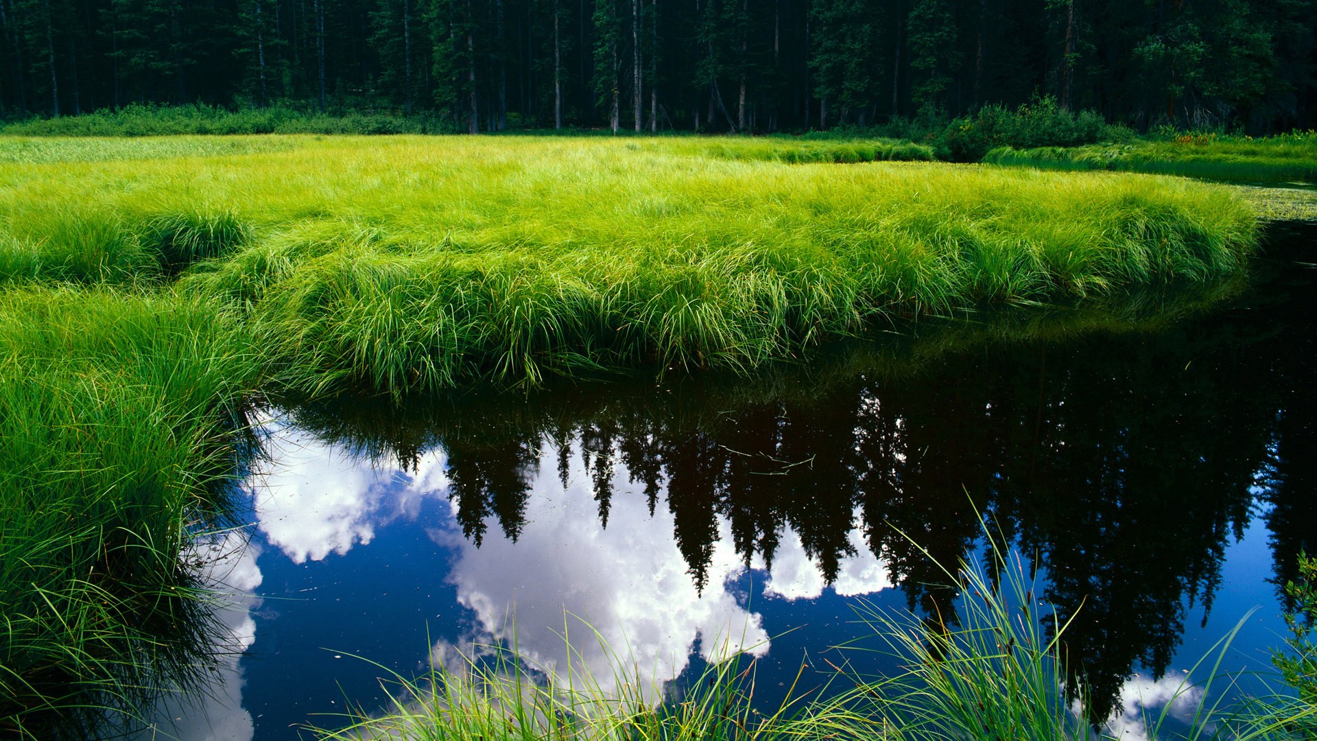 足球训练方法因人施教更注重个体差异,足球训练中有效的指导程序