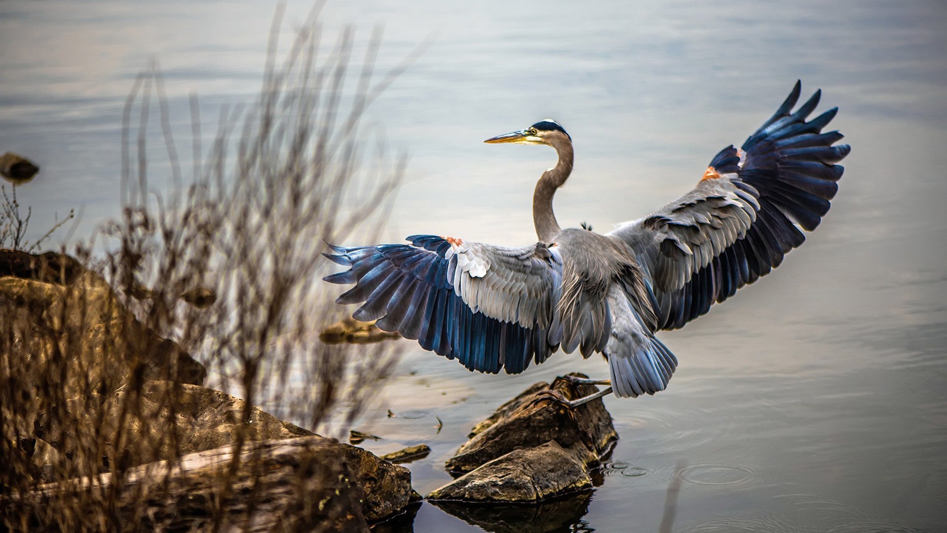 76人球员穿着复古球衣训练引发怀旧情绪，76人的球衣
