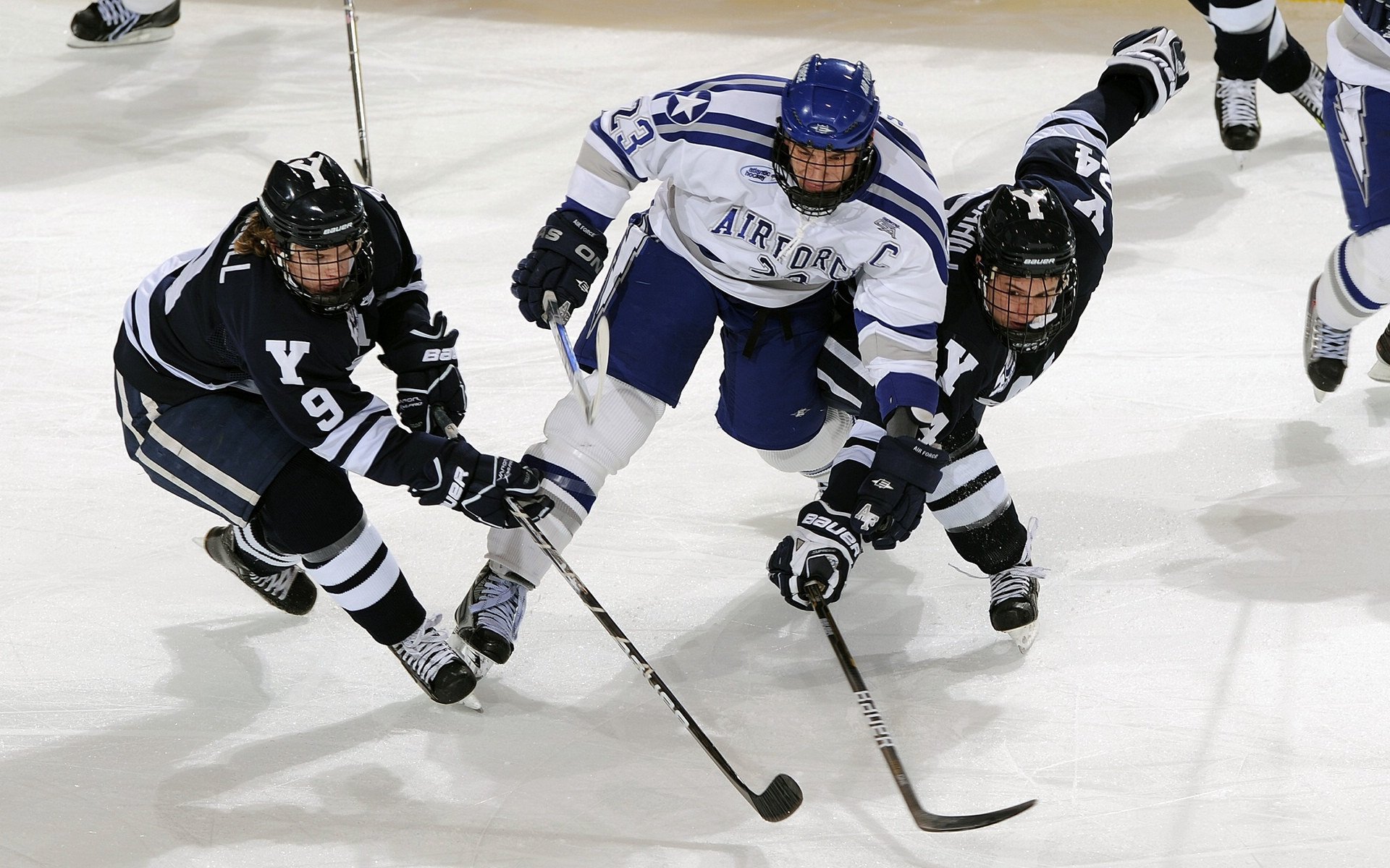 “帕布罗·马特拉的无畏拼搏精神，带领阿根廷美洲狮队战胜挑战”