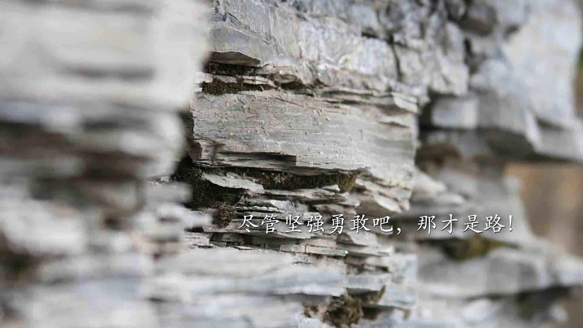 “帕布罗·马特拉的强大防守技能,为阿根廷美洲狮队保驾护航”