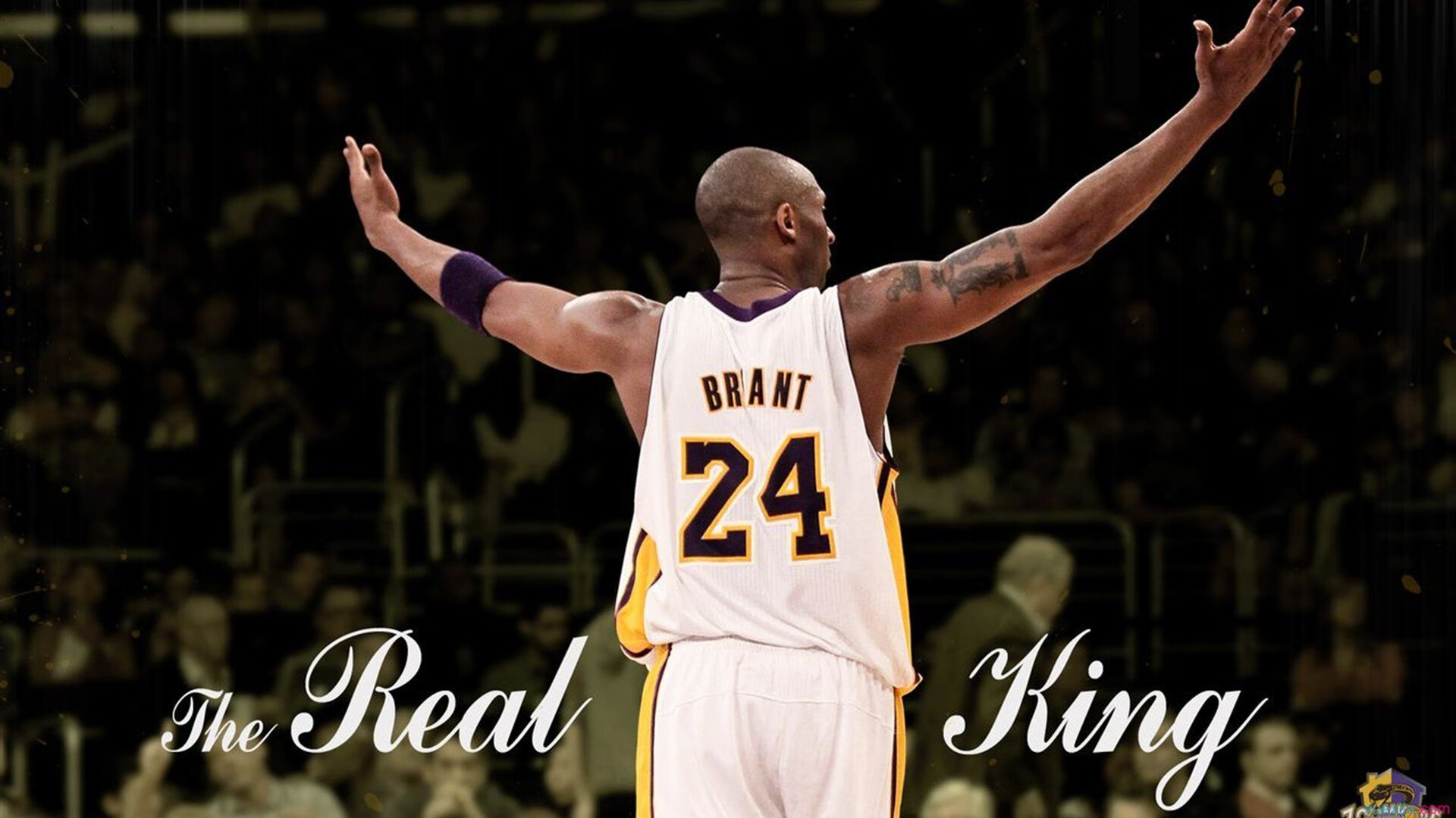 《英雄联盟》宣布2026全球总决赛举办城市，粉丝期待，2022年英雄联盟全球总决赛时间